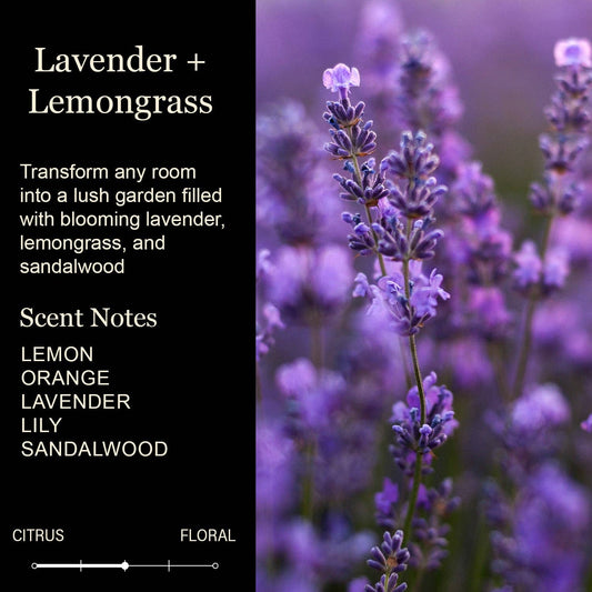 You're My Favorite Bitch to Bitch About Bitches With Candle