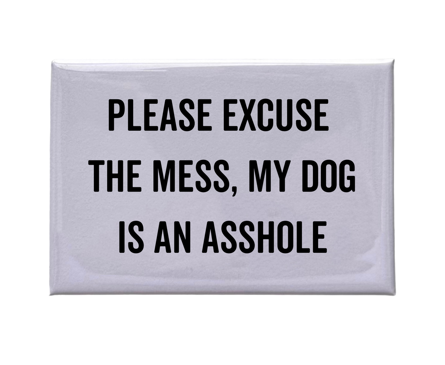 Please Excuse The Mess - White Magnet