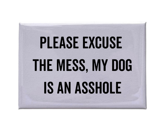 Please Excuse The Mess - White Magnet