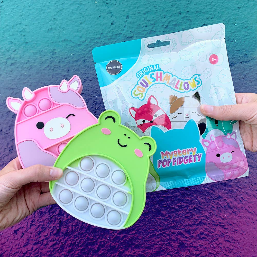 Squishmallows Pop Fidgety Mystery Bag