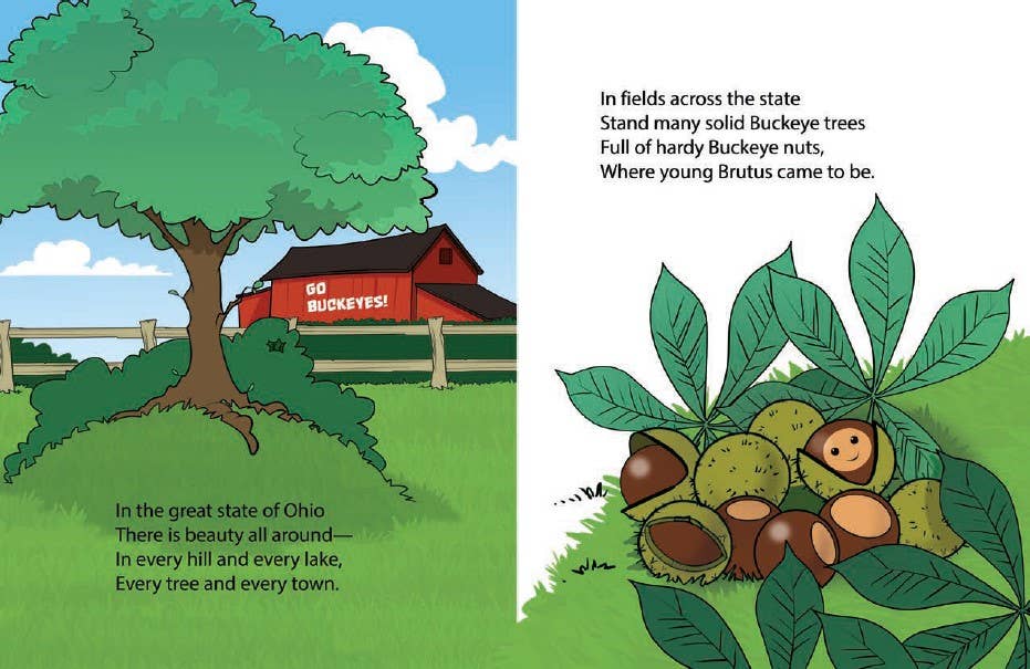 The Best in the Land Children's Book