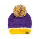 Purple and Gold Ribbed Beanie