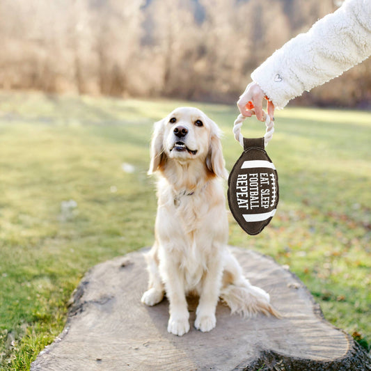 Football - Dog Toy on Rope