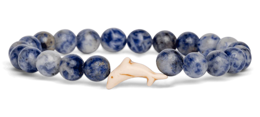 The Odyssey Dolphin Trackable Bracelet