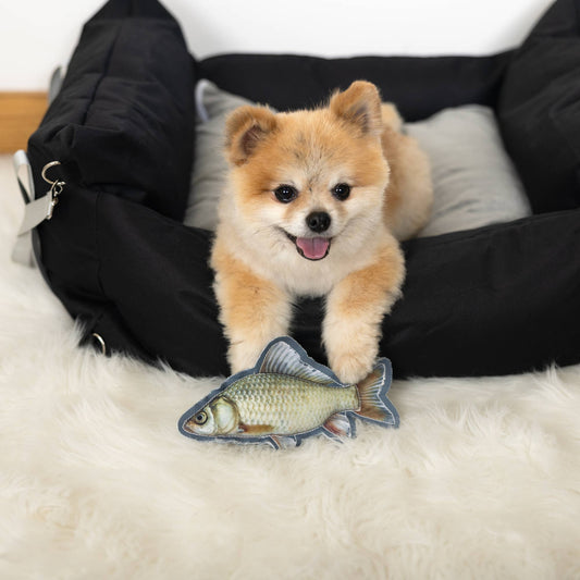 Fish - Canvas Dog
