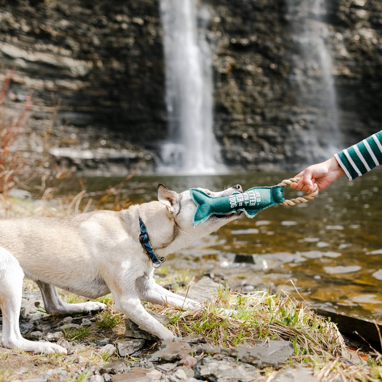 River Dog - Canvas Dog Toy