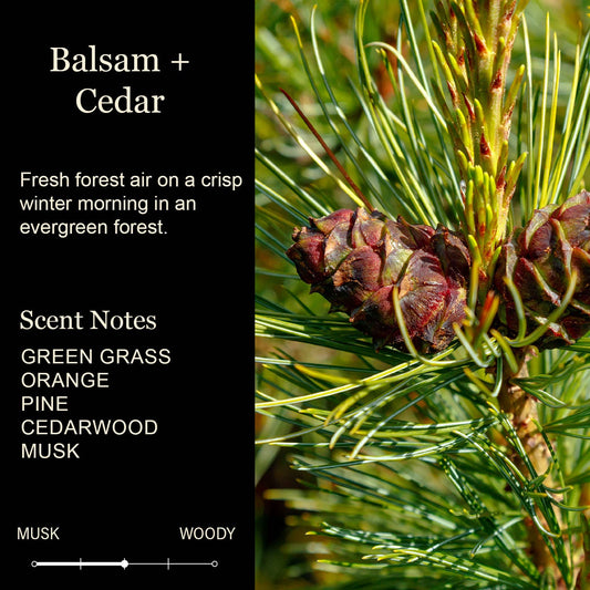 Life Is Better At The Lake - Lake Erie Candle