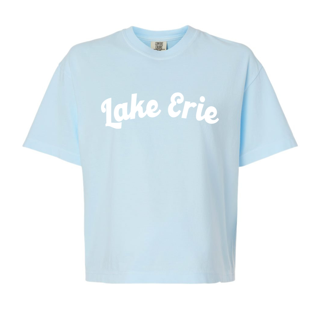 Script Lake Erie Chambray Crop