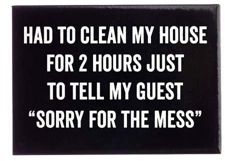 Had to Clean My House Magnet