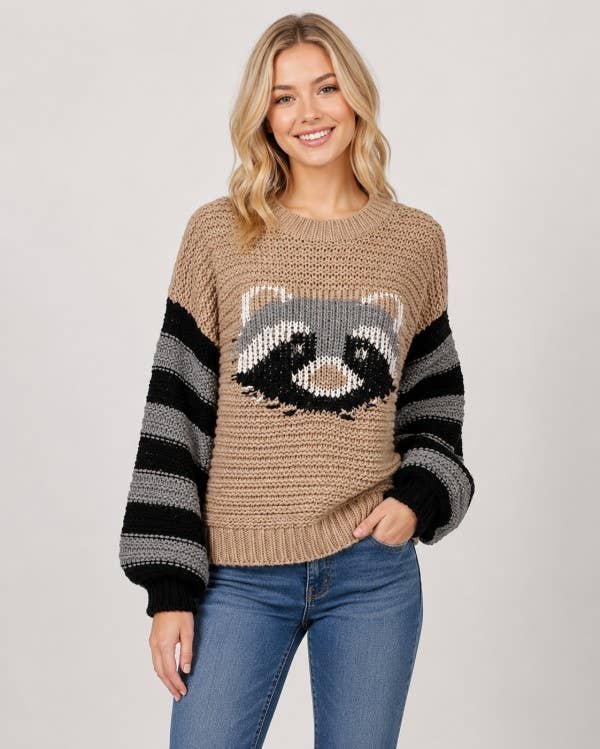Raccoon Sweater With Striped Sleeves