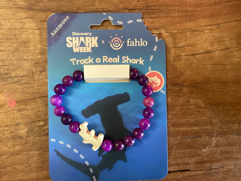 Shark Week 2026 Voyage Bracelet - Hammerhead Tracking Bracelet