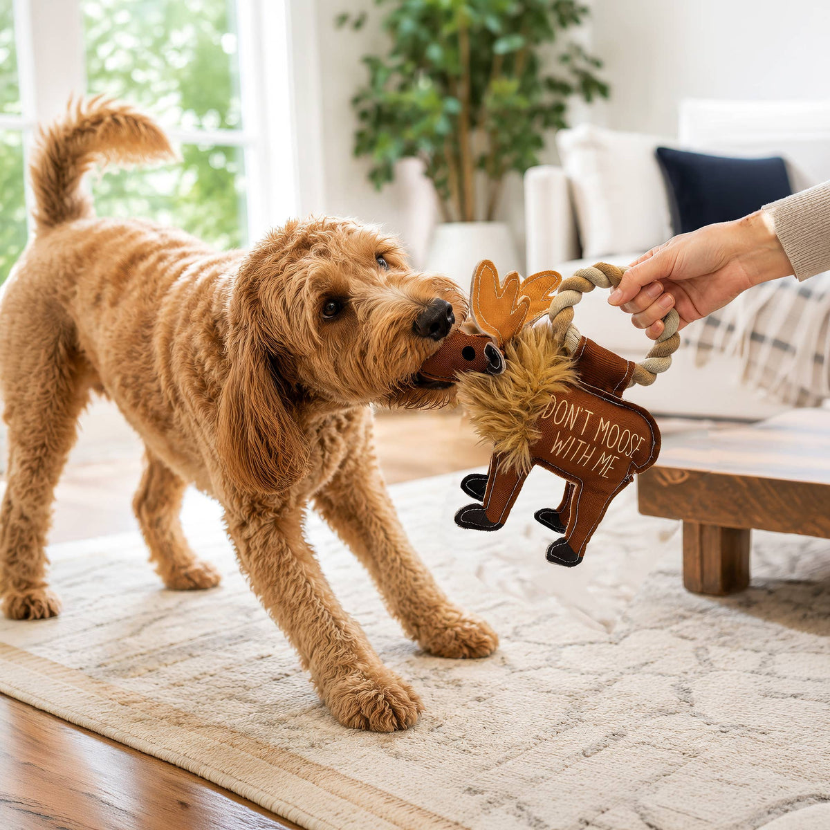 Moose Dog Toy