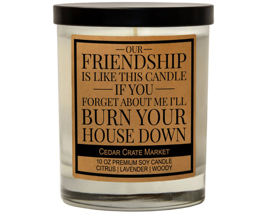 Our Friendship is Like This Candle Soy Candle