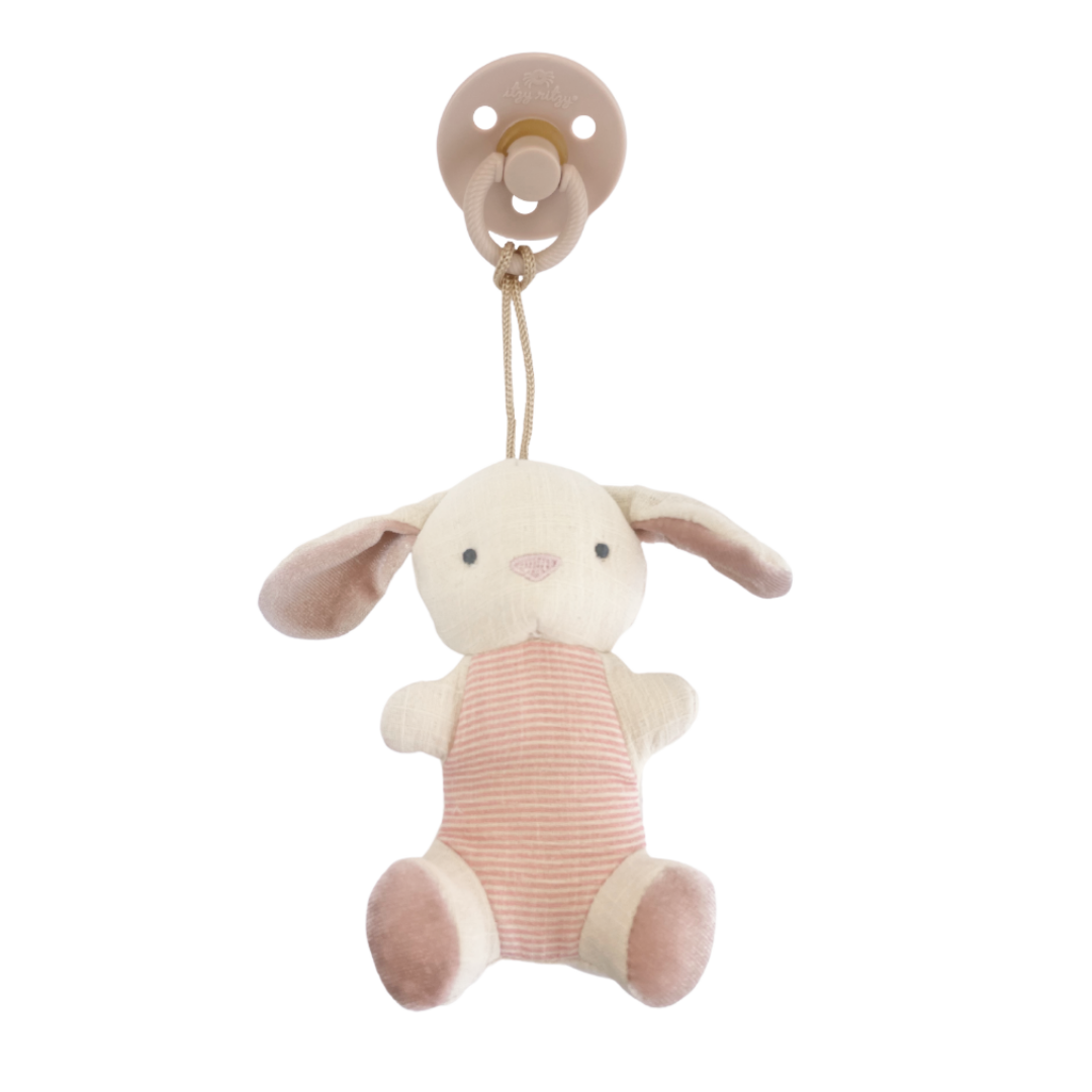 Bunny Pacifier & Stuffed Animal